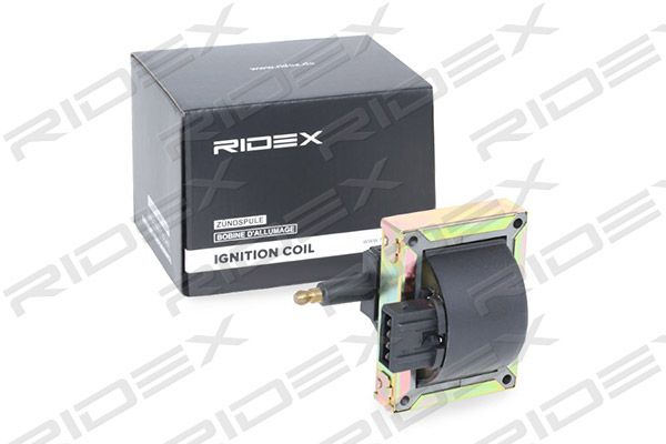 Cewka zapłonowa RIDEX 689C0308