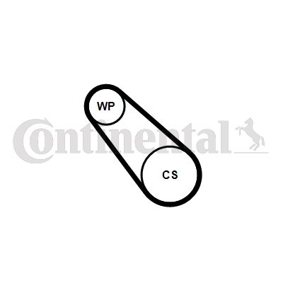 Pompa wodna + zestaw paska klinowego wielorowkowego CONTINENTAL CTAM 3PK725 ELAST WP1