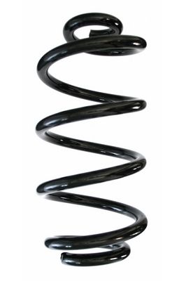 Arc spiral SPIDAN 85316