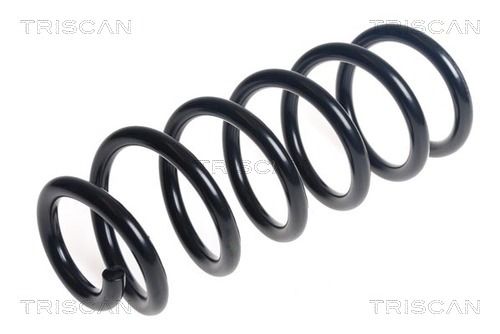 Arc spiral TRISCAN 8750 29508