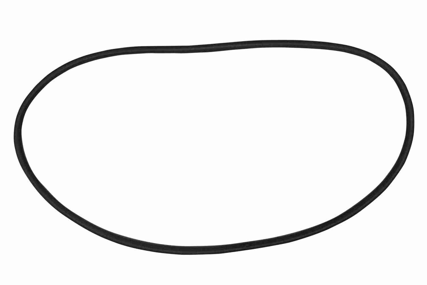 Garnitura, parbriz VAICO V10-0889