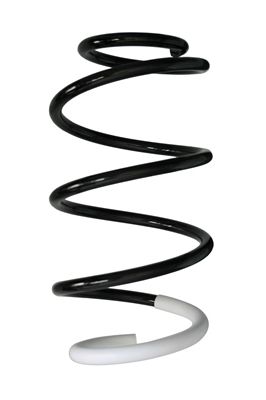 Arc spiral SPIDAN 88001