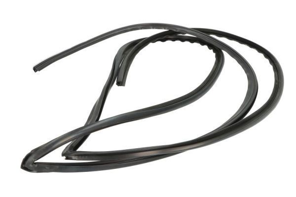 Elemente decorative/protectie, parbriz BLIC 5703-04-6037257Q