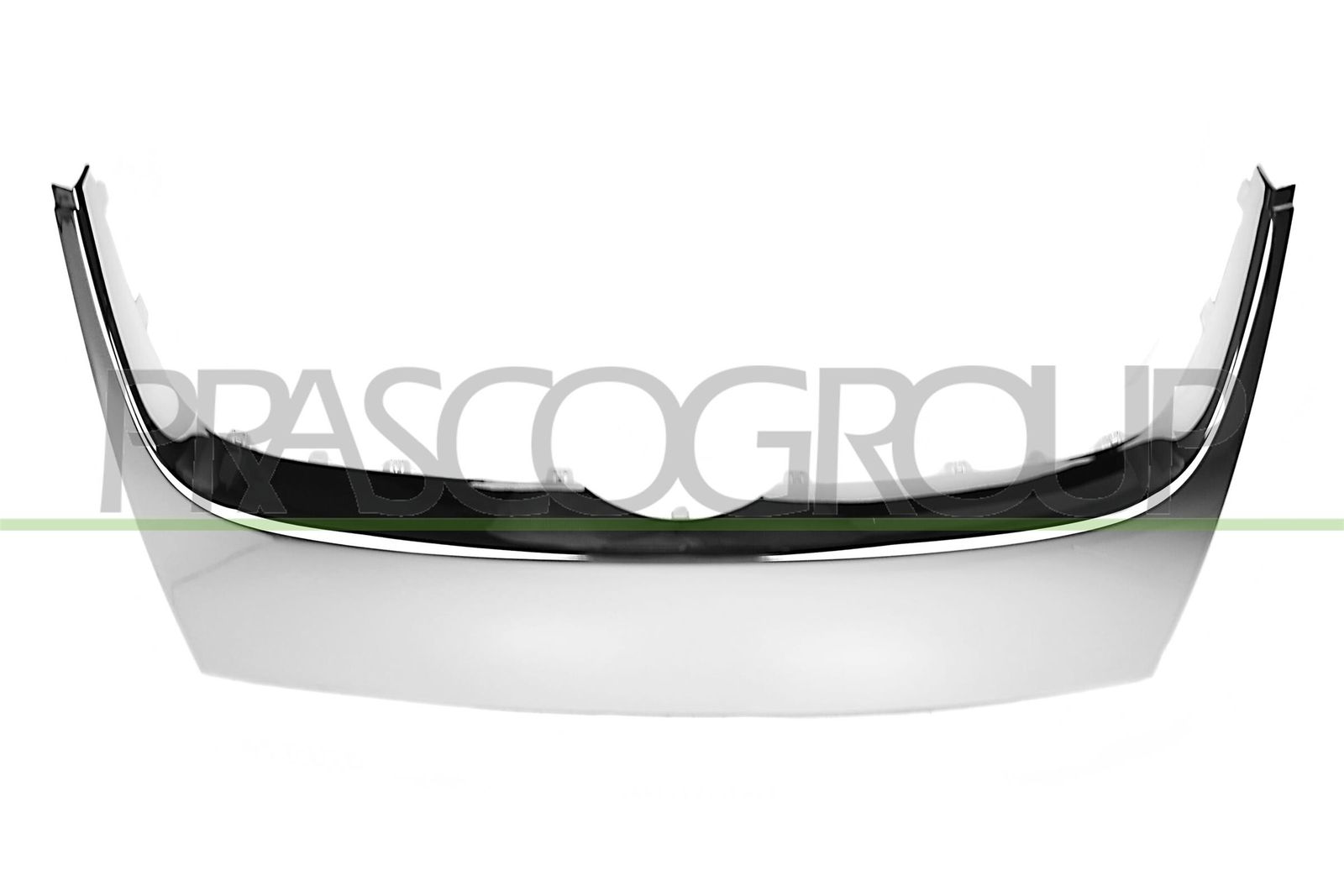 Banda de protectie, grila radiator PRASCO VG5202206