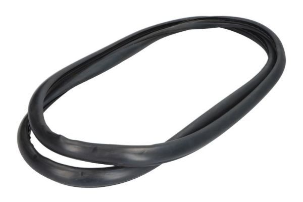 Garnitura, parbriz BLIC 5703-04-6037306Q