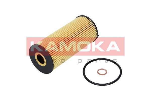 Olejový filtr KAMOKA F110901
