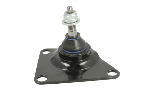 Pivot REINHOCH RH03-6006