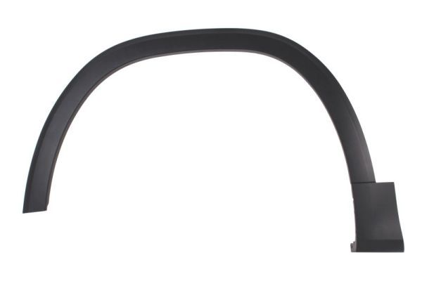 Ehis-/kaitseliist,Poritiib