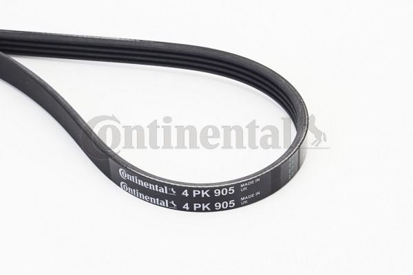 Pasek klinowy wielorowkowy CONTINENTAL CTAM 4PK905