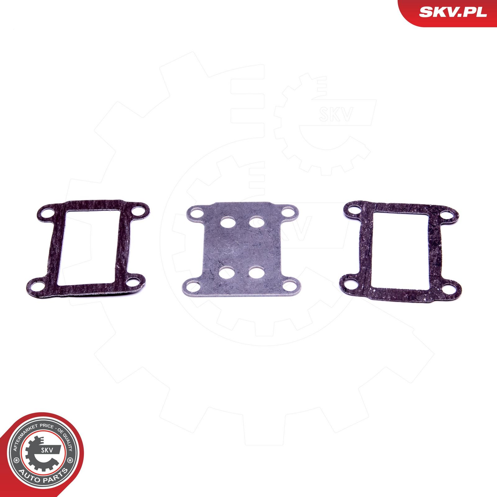 Set de reparație, supapă AGR ESEN SKV 14SKV524