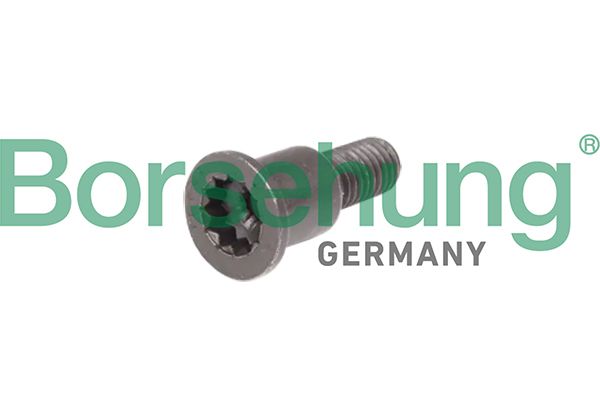 Sworzeń listwy prowadzącej, łańcuch rozrządu BORSEHUNG B10648