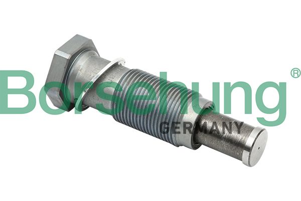 Levně Napínák, rozvodový řetěz BORSEHUNG B1T012