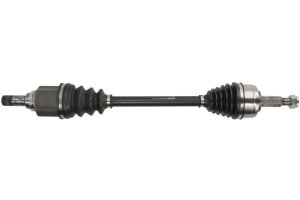 Planetara PASCAL G2R196PC