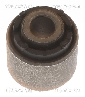 suport,trapez TRISCAN 8500 43863