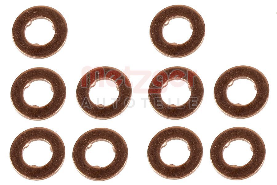 Kaitseseib,sissepritsesüsteem