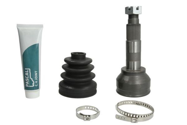 Set articulatie, planetara PASCAL G17004PC