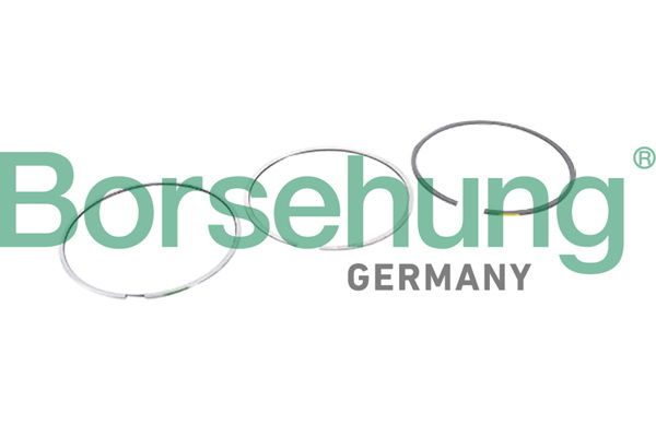 Set segmenti piston BORSEHUNG B10364