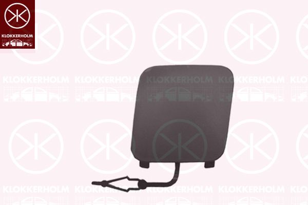 Klapa, hak holujący KLOKKERHOLM 5563915A1