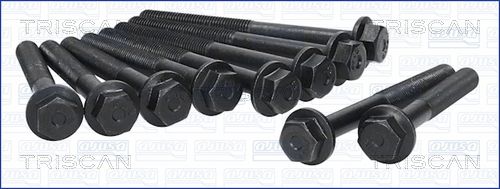 Zestaw śrub głowicy cylindrów TRISCAN 98-2501
