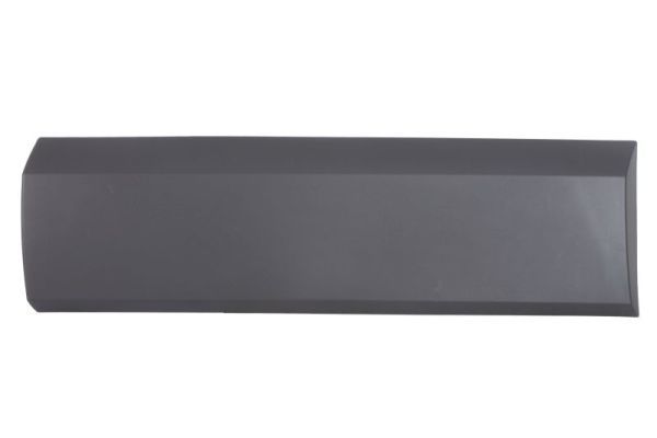 Ehis-/kaitseliist,külg