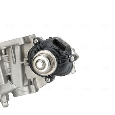 Module-EGR