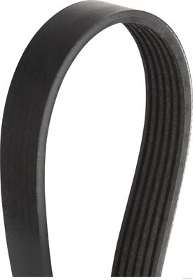 Pasek klinowy wielorowkowy HERTH+BUSS JAKOPARTS J1060780