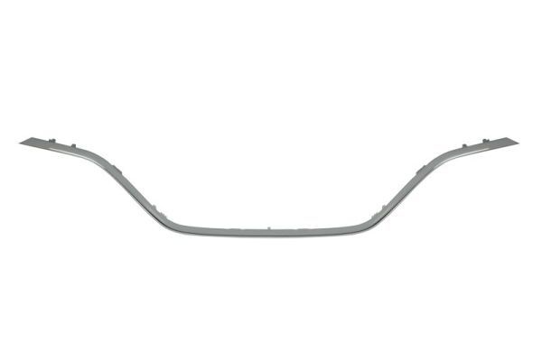 Ehis-/kaitseliist,Põrkeraud