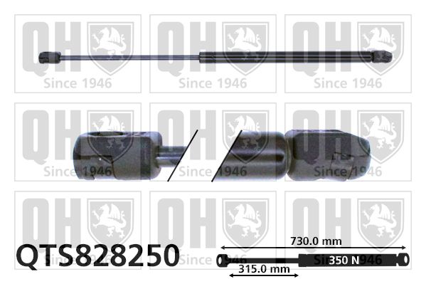 Sprężyna gazowa, pokrywa komory silnika QUINTON HAZELL QTS828250