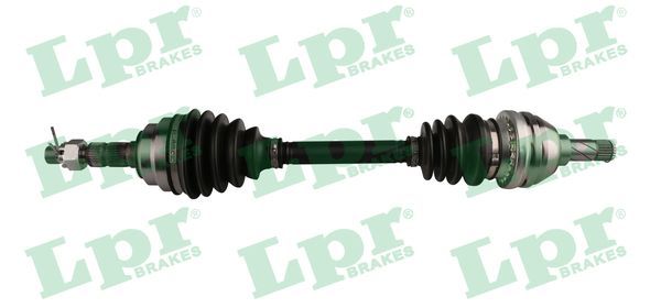 Planetara LPR DS37095