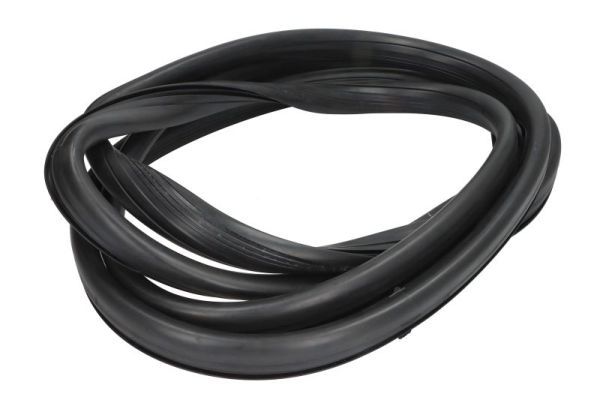 Garnitura, parbriz BLIC 5703-04-6038029Q