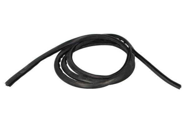 Garnitura, parbriz BLIC 5703-04-6037842Q