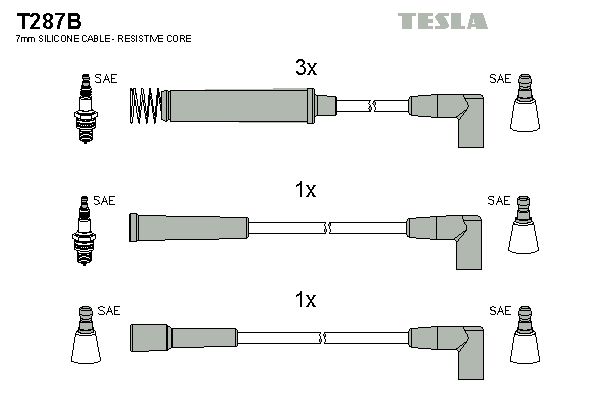 Set cablaj aprindere TESLA T287B