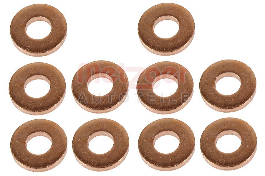 Kaitseseib,sissepritsesüsteem