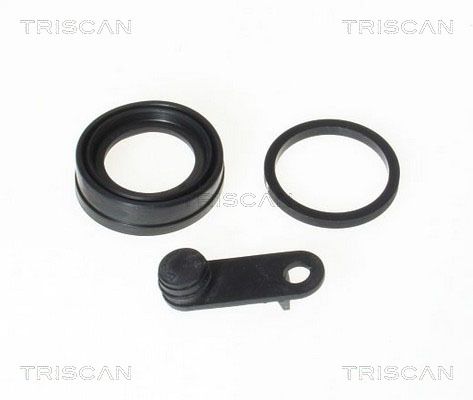 Uszczelka, tłoczek hamulcowy TRISCAN 8170 189903