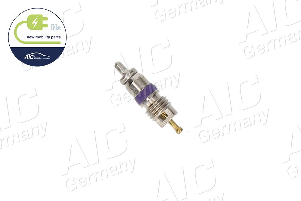 Core ventiil, hooldusventiil