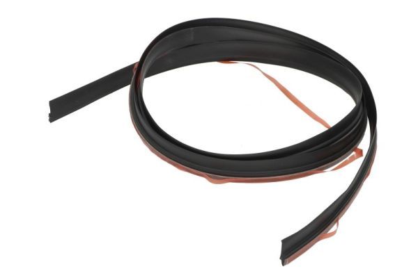 Garnitura, parbriz BLIC 5703-04-6037854Q