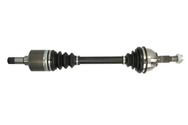 Planetara PASCAL G2C113PC