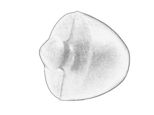 Tampon cauciuc, suspensie S-TR STR-1201246