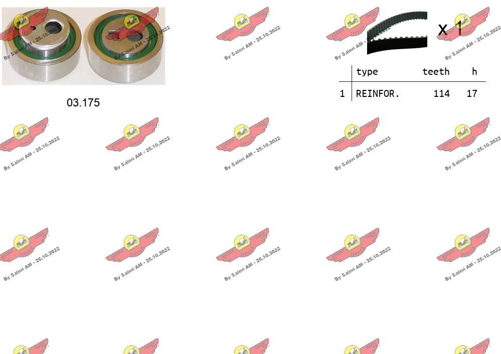 V42-4173 KIT DE DISTRIBUTION