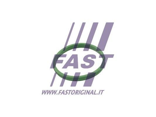 Pierścień uszczelniający, korek spustowy oleju FAST FT49855