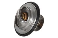 Thermostat, Kühlmittel