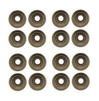 Dichtungssatz, Ventilschaft