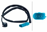 Klopfsensor