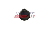 Piekare, Radiators FT55811 FAST