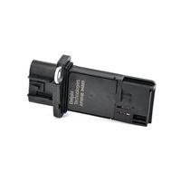 DELPHI Luchtmassameter 5