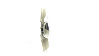 Thumbnail - Koelventilatorwiel - CFF524000P - MAHLE