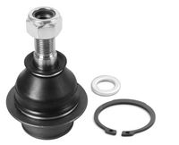 Trag-/Führungsgelenk