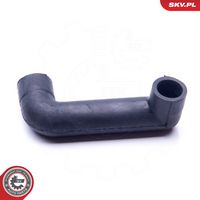 Article Picture