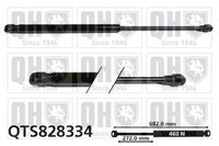 Gasfeder, Koffer-/Laderaum