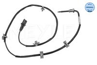 Sensor, Abgastemperatur